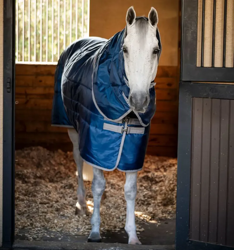  Stable Rugs