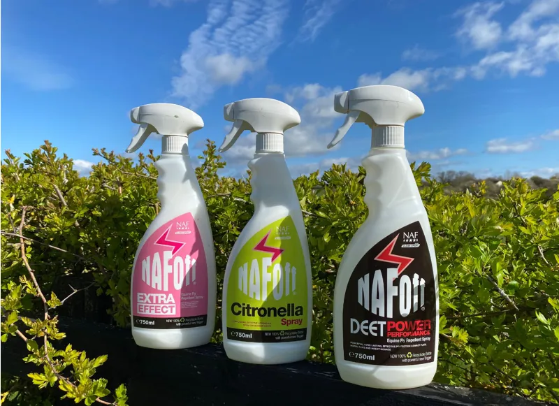 Great Savings on Fly Essentials