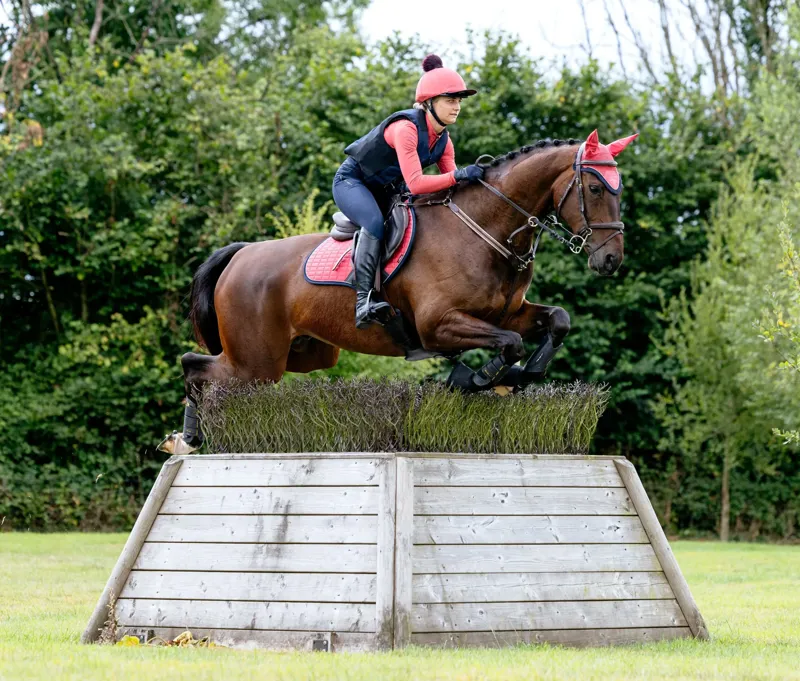 AW25 prices have dropped!