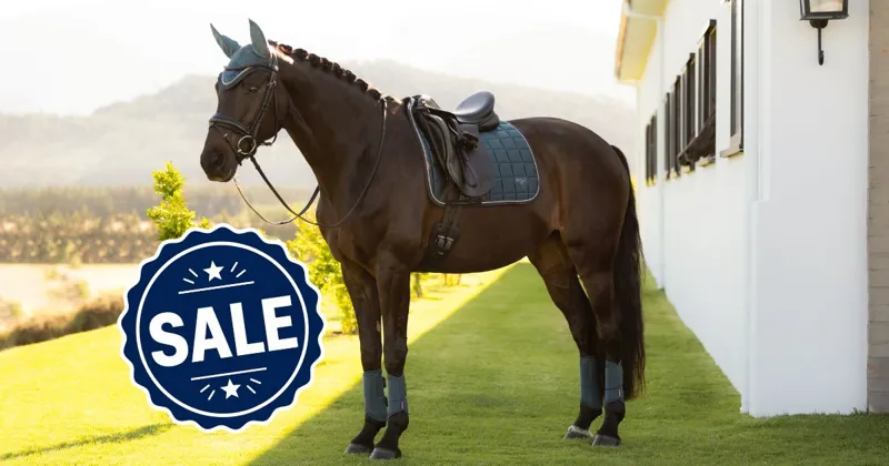 Up to 30% off