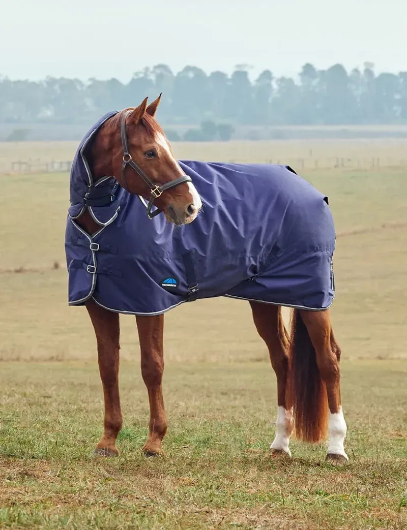 WeatherBeeta 220g ComFiTec Tyro Turnout Horse Rug Combo Neck in Navy/Charcoal-6