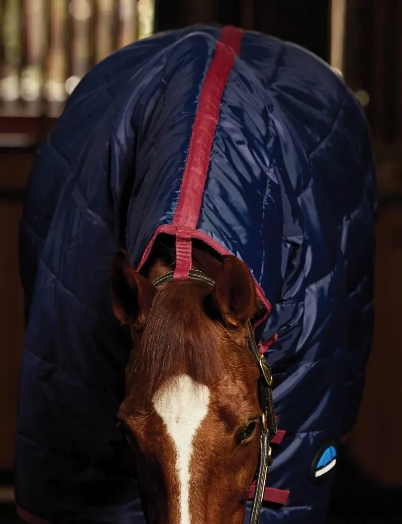 WeatherBeeta Stable Rug Combo 220g in Navy/Burgundy-3