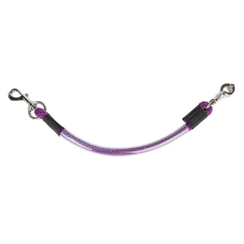 Arma Heavy Duty Trailer Tie in Purple