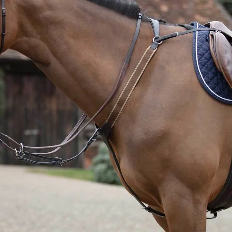 Mark Todd Elastic V Breast Plate Mark Todd Brown