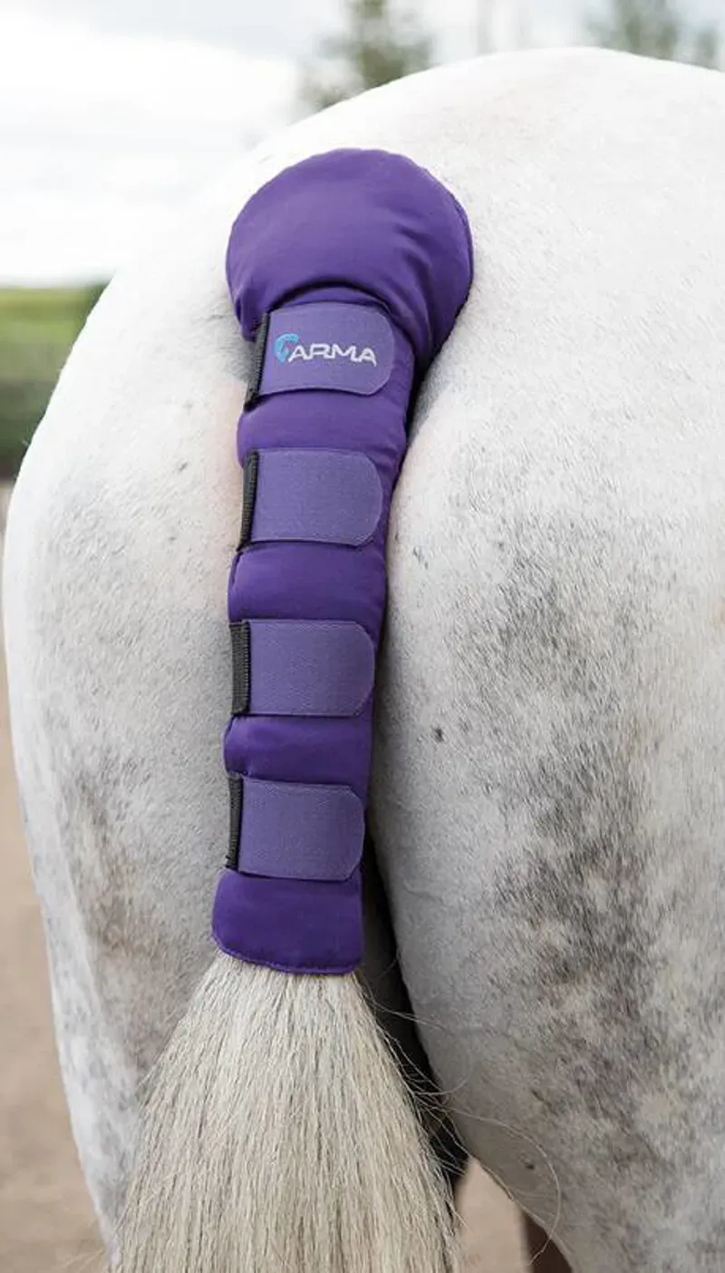 Shires Arma One Size Padded Tail Guard In Purple