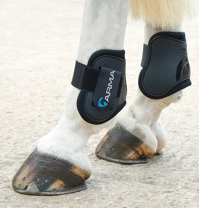 Arma Cob/Full Fetlock Boots in Black/Plum