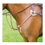 Avignon 5 Point Breastplate in Oak