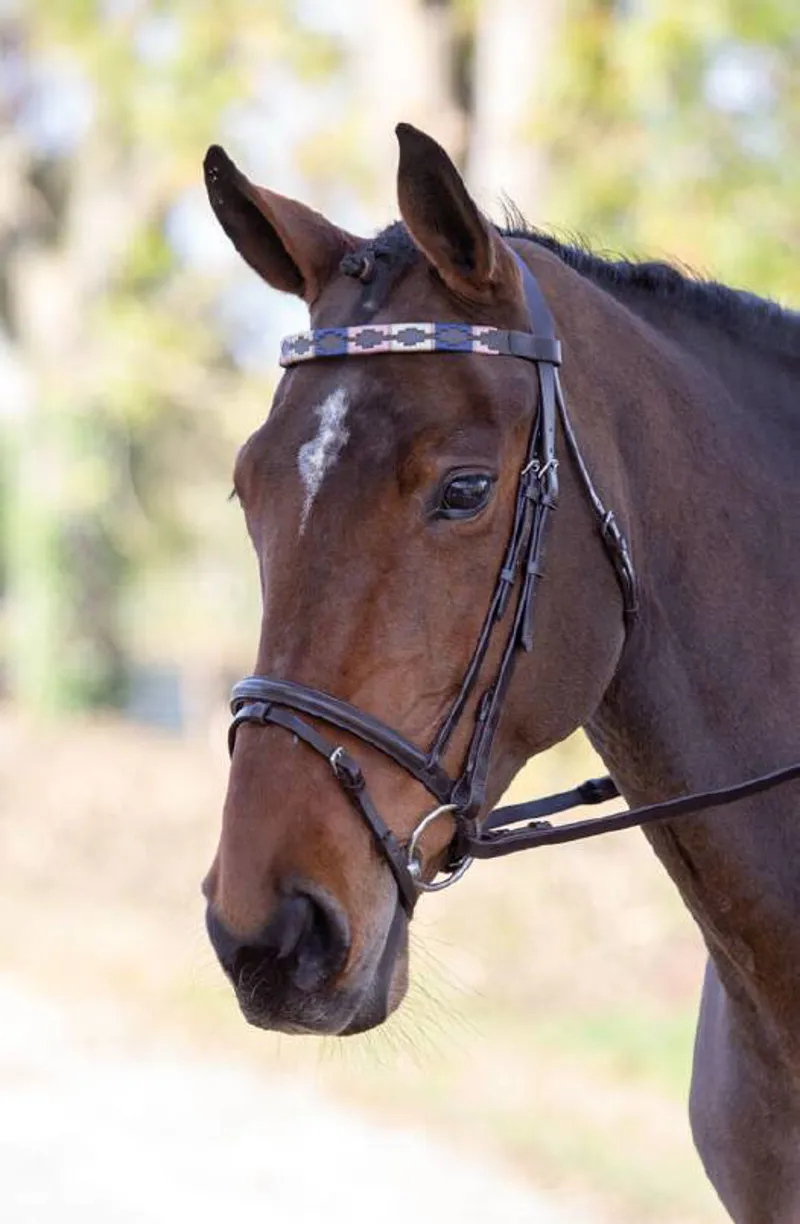 Blenheim Leather Polo Browband in Red