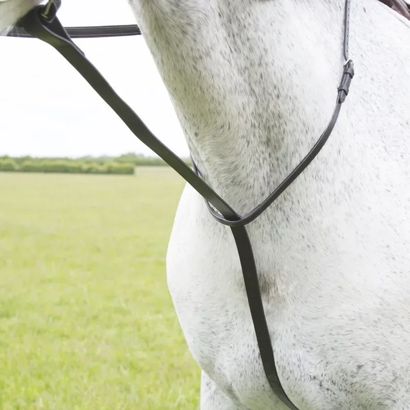 Velociti Blenheim Standing Martingale in Havana
