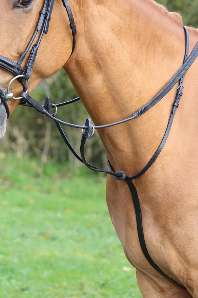 Aviemore Running Martingale in Black