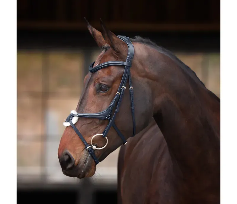 Velociti Lusso Elite Grackle Bridle in Black