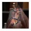 Velociti Lusso Elite Flash Bridle in Black