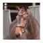 Velociti Lusso Elite Flash Bridle in Havana