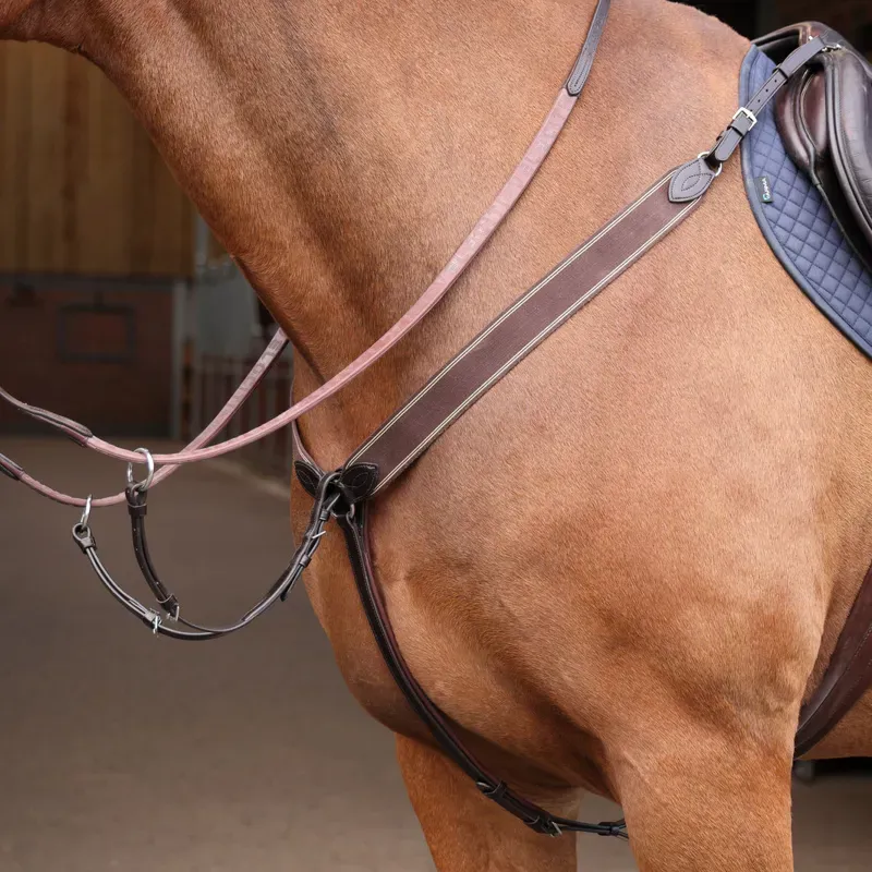 Velociti Lusso Three Point Elastic Breastplate in Havana