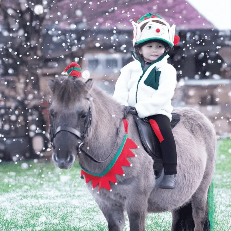 Festive Christmas Breastplate Red/Green horse-1