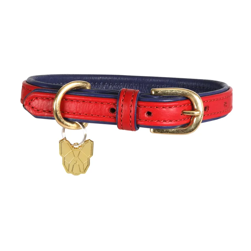 Digby and Fox Large Padded Leather Dog Collar in Scarlett