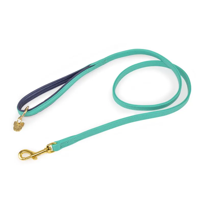 Digby and Fox 1.5cm Padded Leather Dog Lead in Aqua