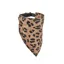 Digby and Fox Bandana in Leopard