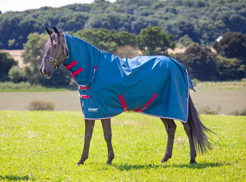 Tempest Original Lite 0g Turnout Combo Rug in Teal-1