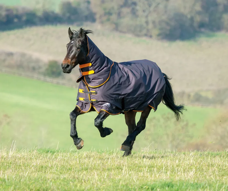Tempest Original 200 Turnout Rug and Neck Set in Green-1