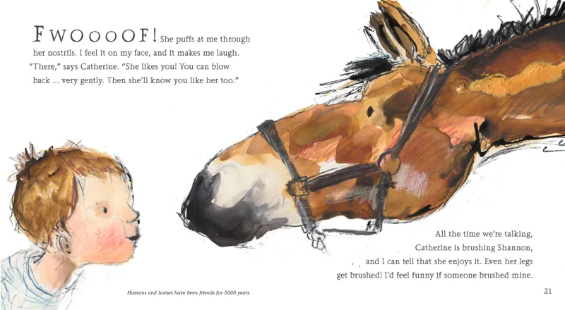 Hello Horse -2