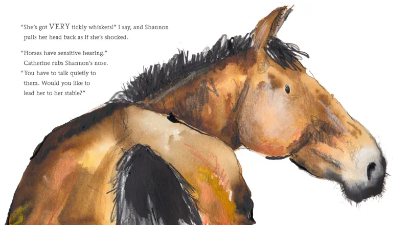 Hello Horse -3