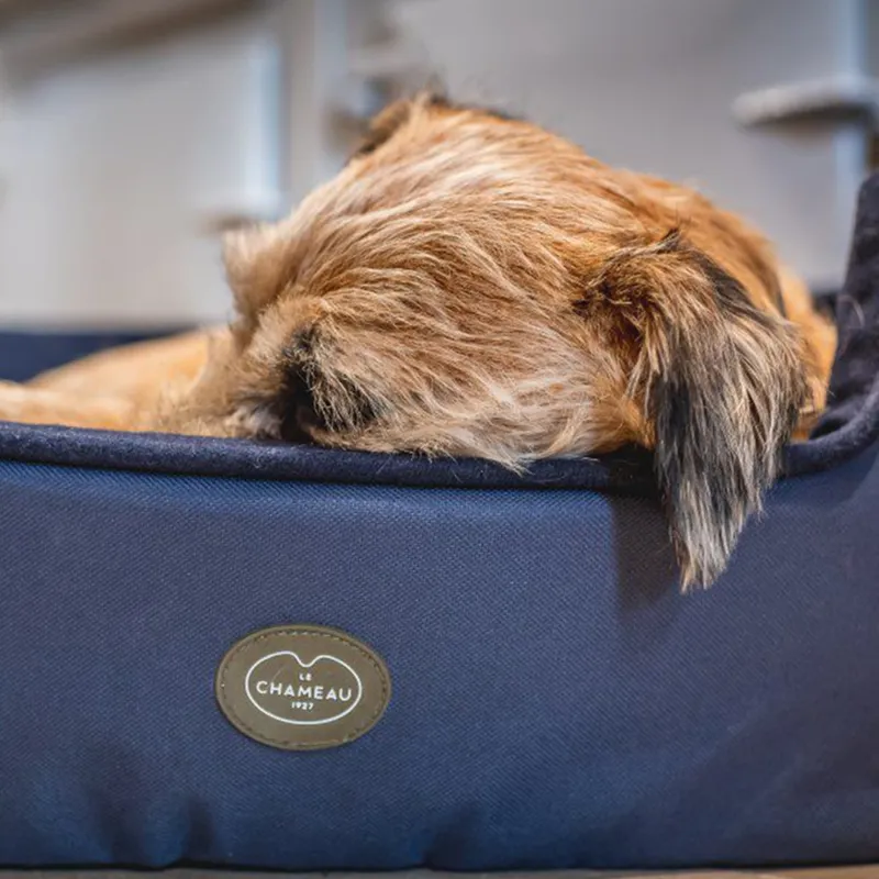 Le Chameau Dog Bed - Bleu Fonce-1