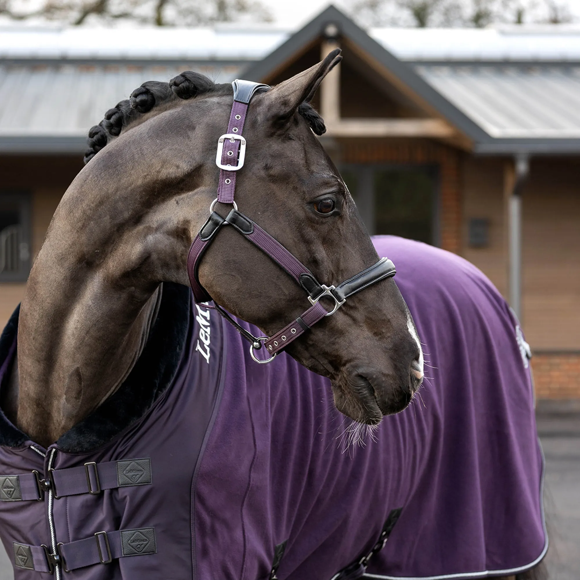 LeMieux Fascia Per Capelli Sparkle Con Glitter – Lilla - Foto 8