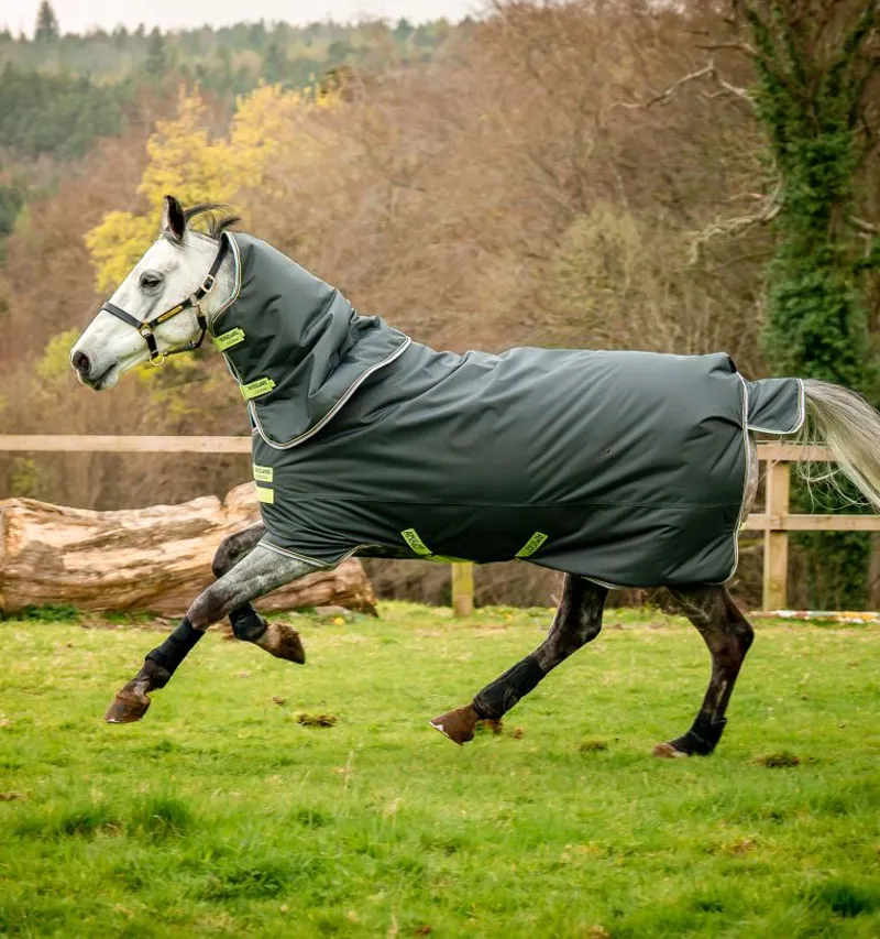 Amigo Hero Ripstop Plus Turnout Rug - 100g Lite-7