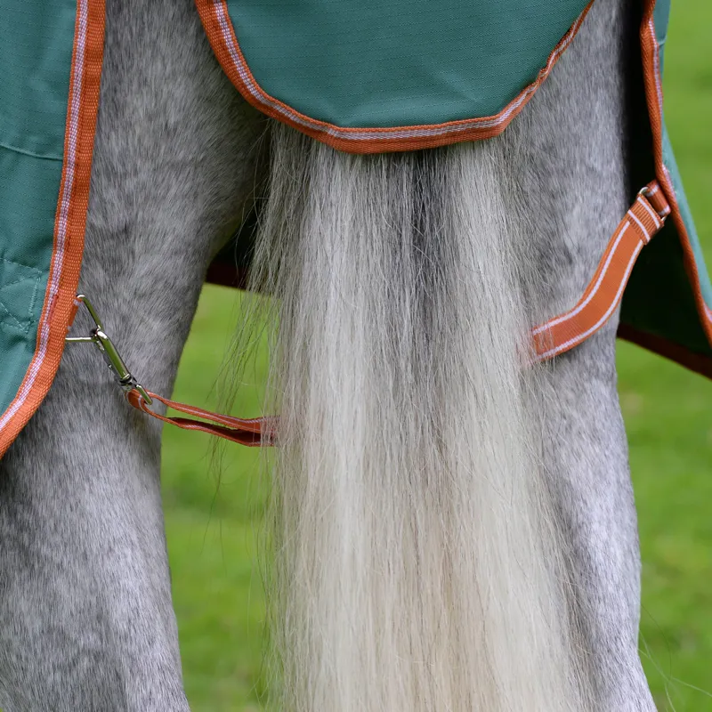 Weatherbeeta Comfitec Tyro Combo Neck Lite Turnout Rug 50g Plus - Green/Burnt Orange/White-3