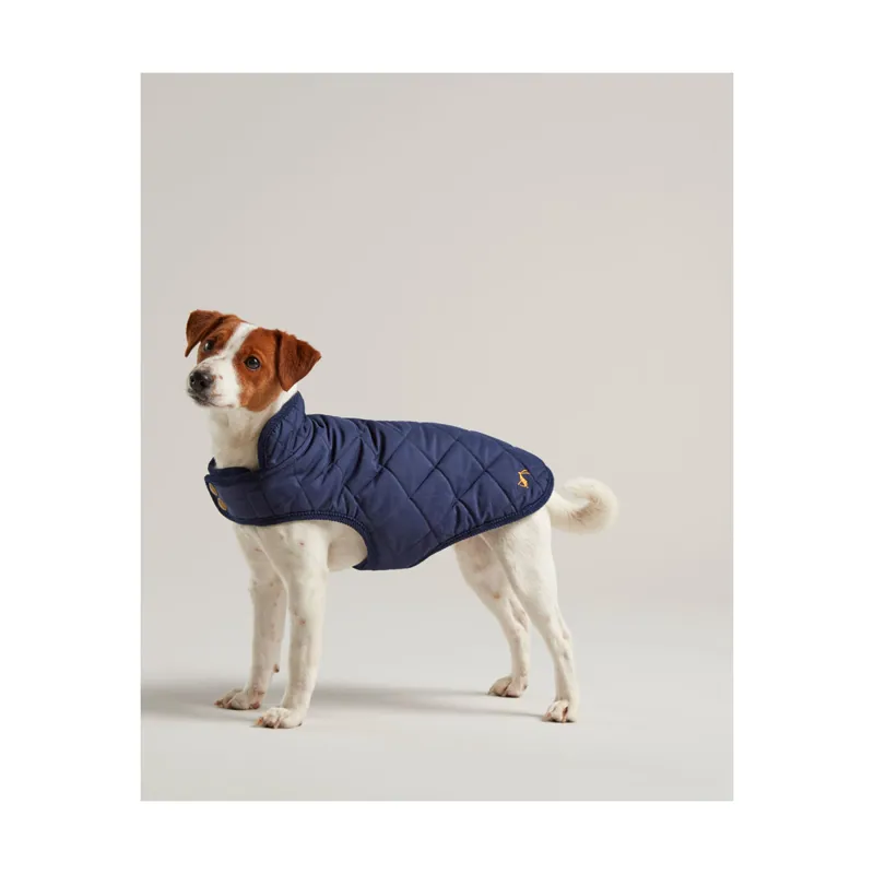 Pet Coats | Colne Saddlery