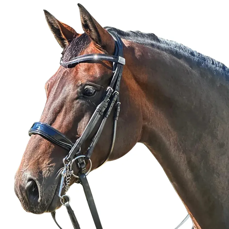 Fairfax Browband - Black Patent Diamonte -3