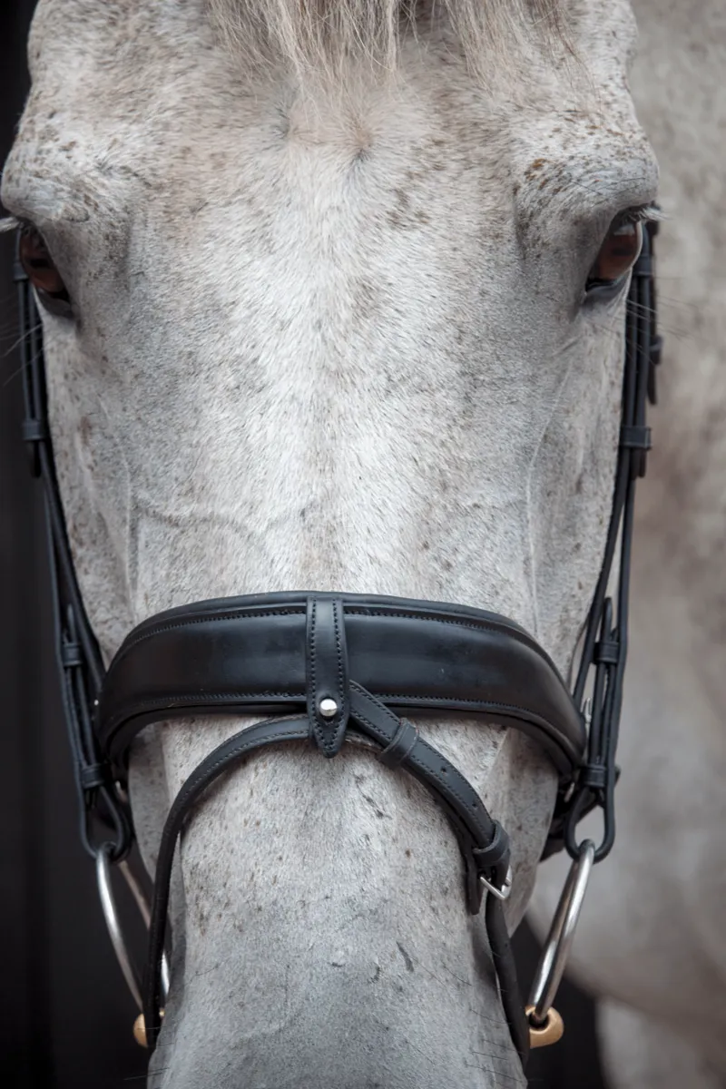 Henry James Dressage bridle - Black-3