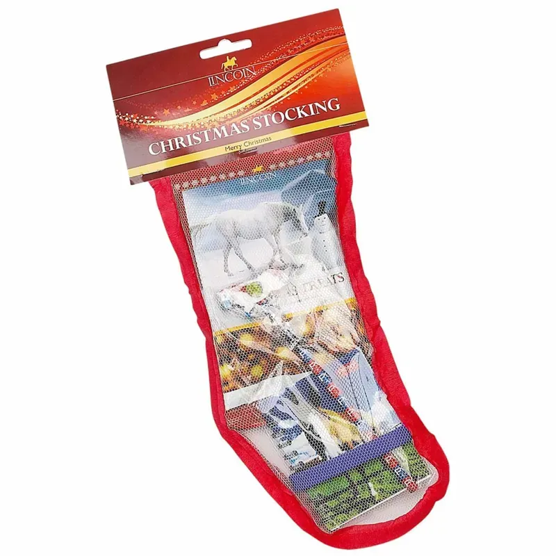 Lincoln Mad Christmas Pony Stocking 