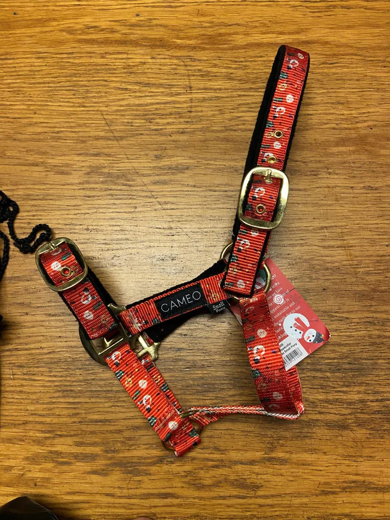 Christmas Headcollar - Zest-2