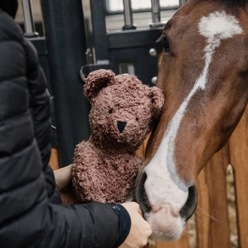 Kentucky Relax Horse Toy - Bear