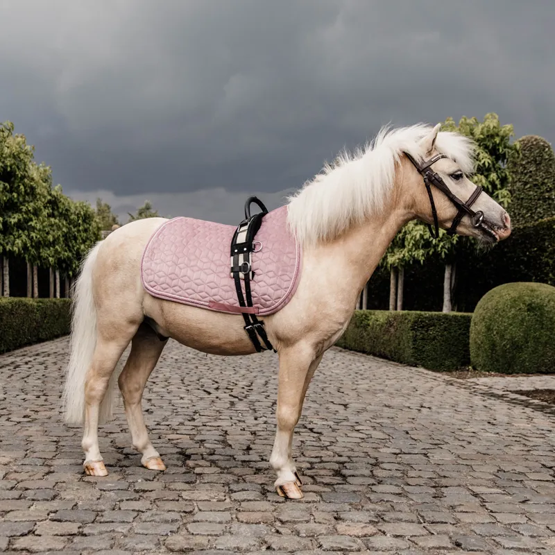 Kentucky Velvet Saddle Pad - Old Rose - Pony