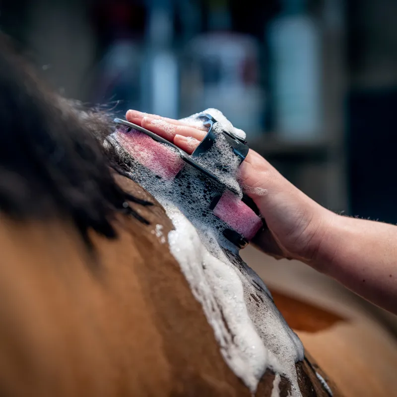 LeMieux Hippo Scrubber Black-1