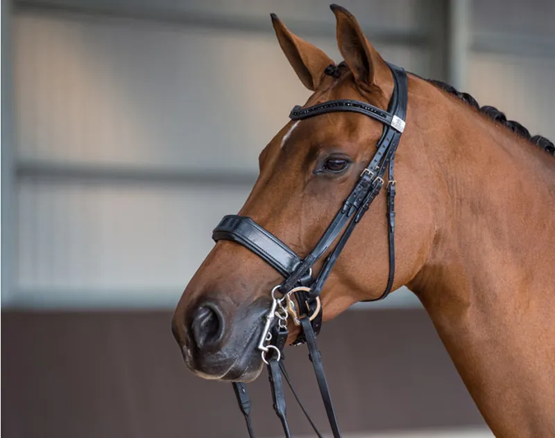 Fairfax Bridle Double - Black