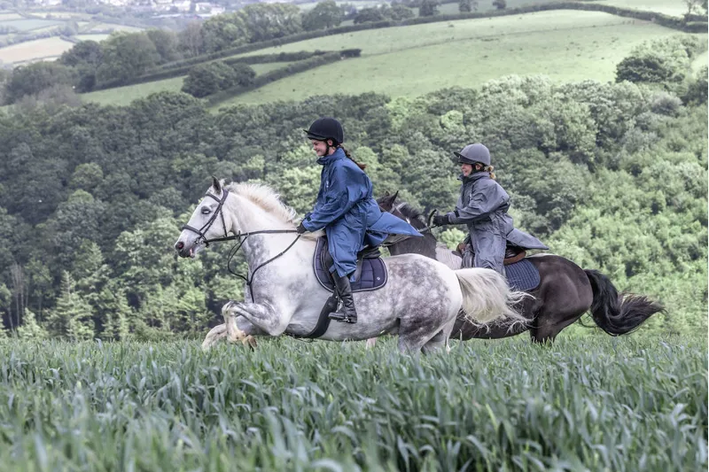 Boxing Day Sale Coats, Jackets, and Gilets