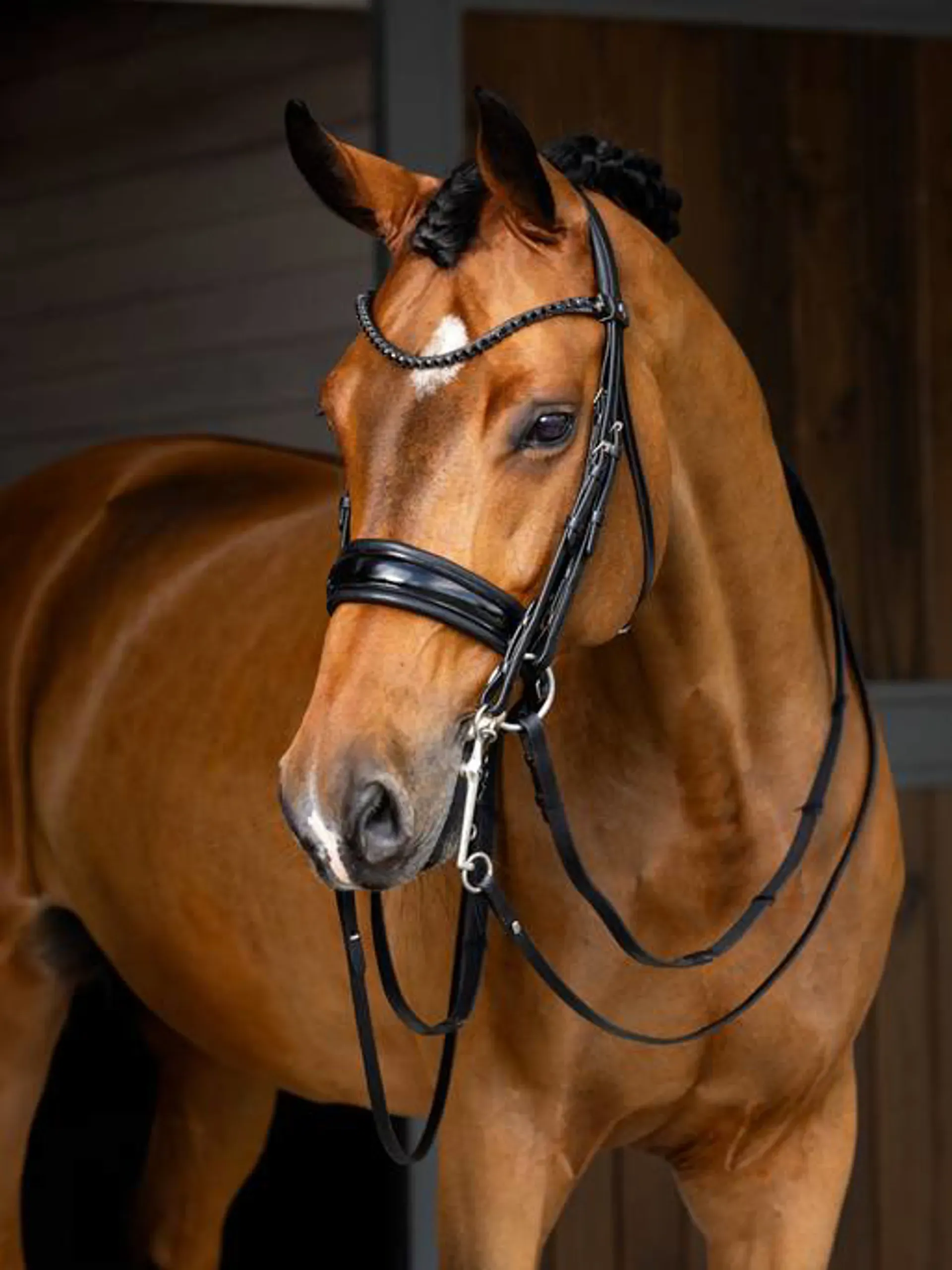 LeMieux Bridles