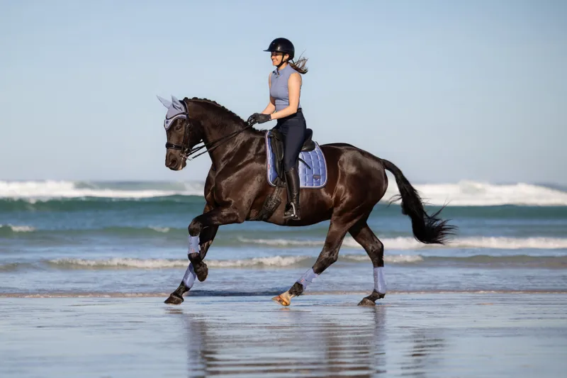 LeMieux SS26 - Powder Blue & Shadow