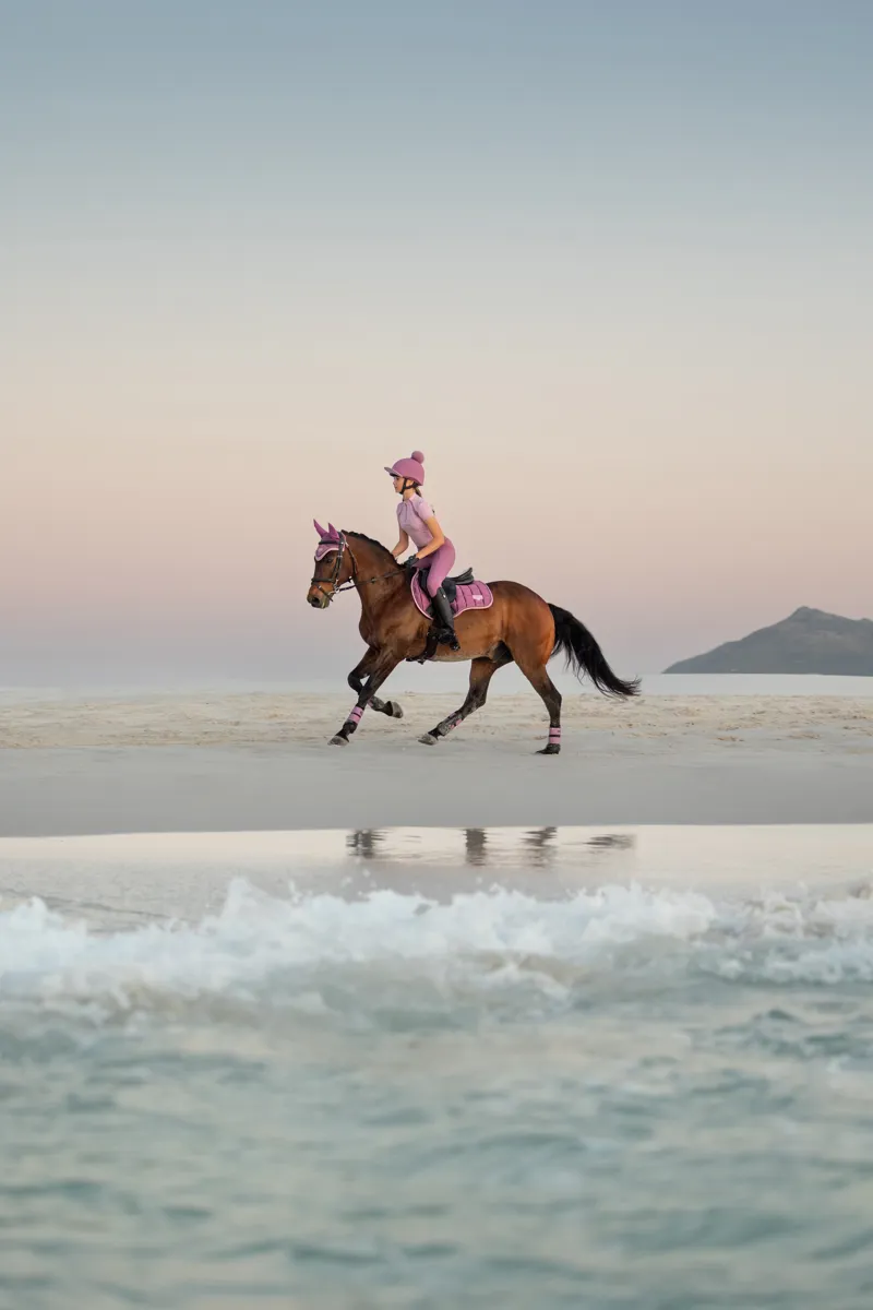 LeMieux SS26 Fondant & Mallow