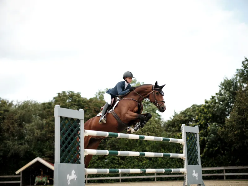 Ariat Boxing Day Sale