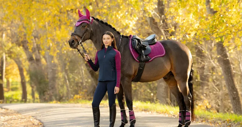 LeMieux - Blackberry