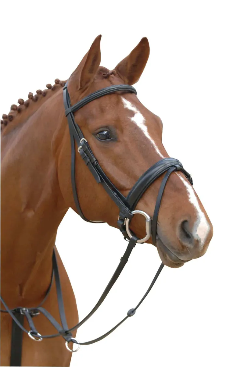 Albion KB Competition Crank Flash Bridle 30mm Black