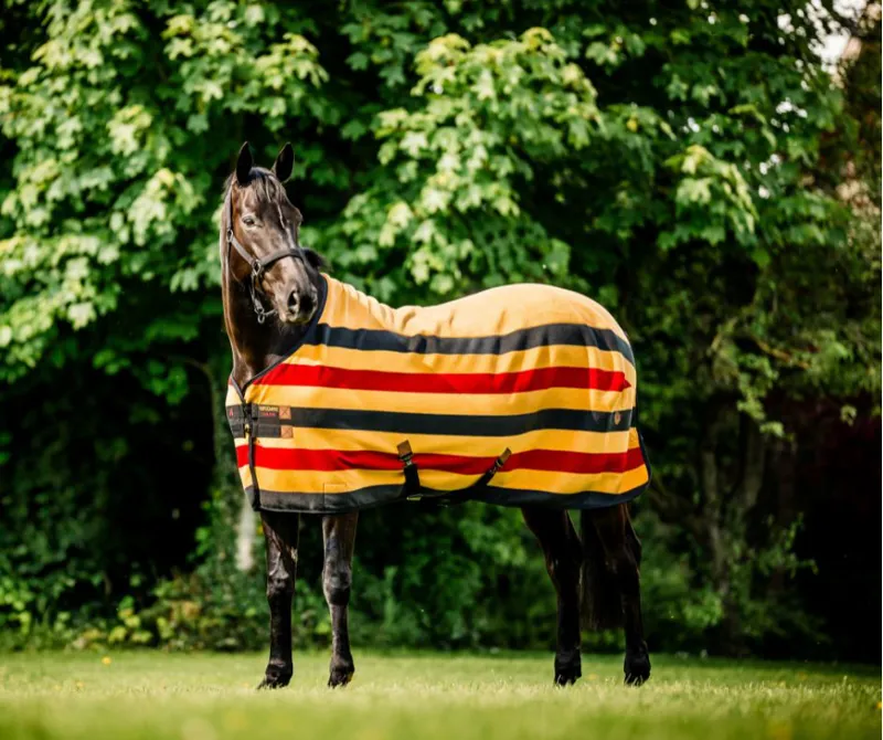 Horseware Newmarket Fleece Cooler Witney Gold