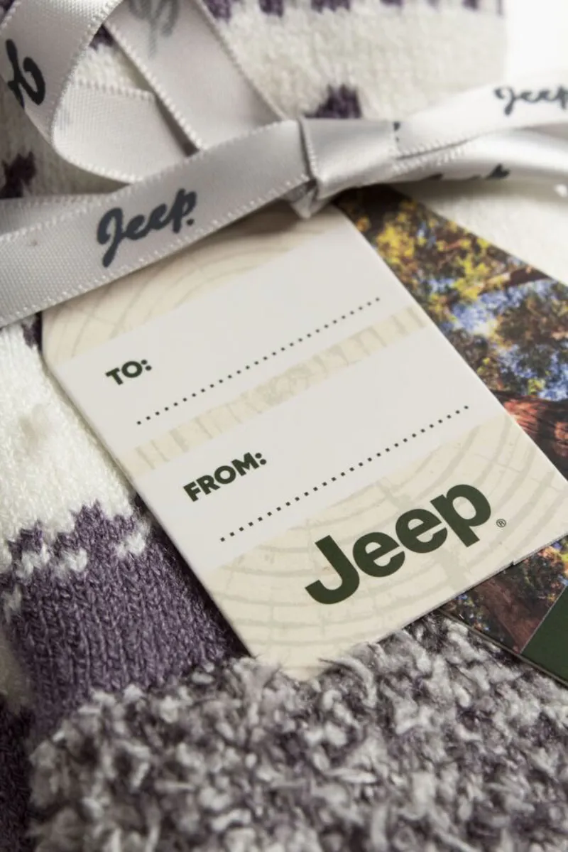 Ladies Jeep Fairisle Soft Top Boot Sock Gift Pack - Lilac/Cream-2