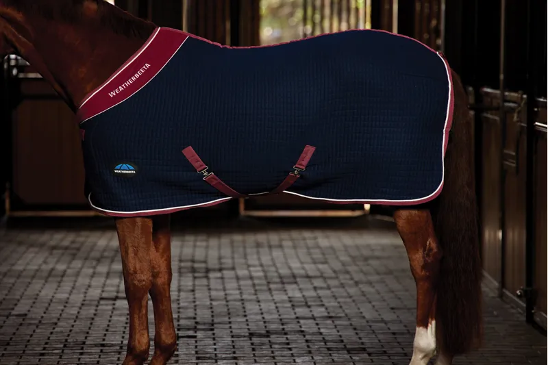 Weatherbeeta Thermocell Cooler Standard Neck - Navy/Burgundy-2