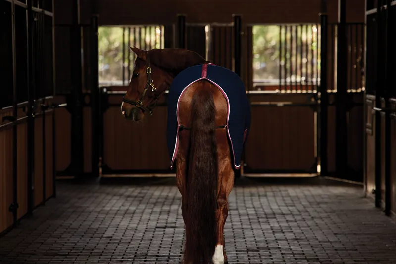 Weatherbeeta Thermocell Cooler Standard Neck - Navy/Burgundy-3